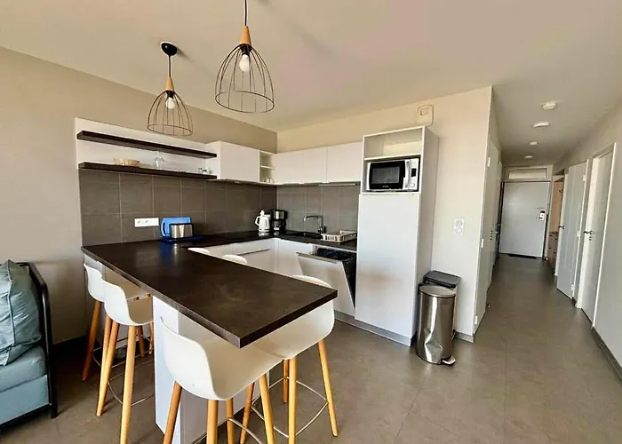 2 Chambres, Balcon, Piscine Chauffee, Acces Plage, Animaux Admis, Parking - Fr-1-194-194