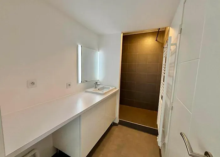 2 Chambres, Balcon, Piscine Chauffee, Acces Plage, Animaux Admis, Parking - Fr-1-194-194 Apartment *